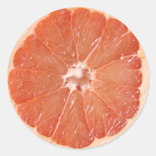 Grapefruit Slice Ronde Sticker (Voorkant)