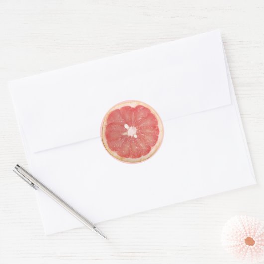 Grapefruit Slice-stickers Ronde Sticker (Envelop)