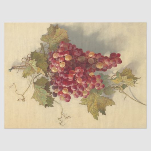 Grapes Against White Wall by Edwin Deakin Tissuepapier (Voorkant)