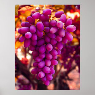 Grapes Chavez-symbool Poster