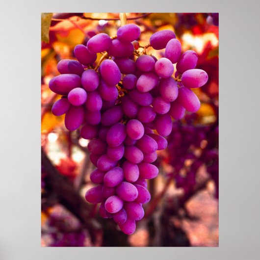 Grapes Chavez-symbool Poster (Voorkant)