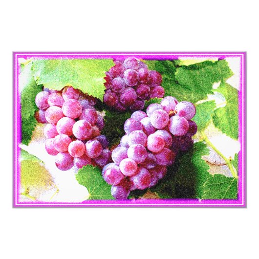 "Grapes Fruit Plant" Kute foto. Bestel nu Foto Afdruk (Voorkant)