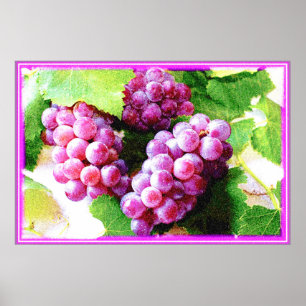 "Grapes Fruit Plant" Kute foto. Bestel nu Poster