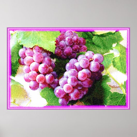 "Grapes Fruit Plant" Kute foto. Bestel nu Poster (Voorkant)
