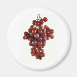GRAPES MAGNEET