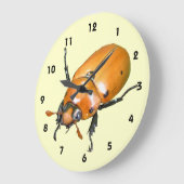 Grapevine Beetle ~ klok (Hoek)