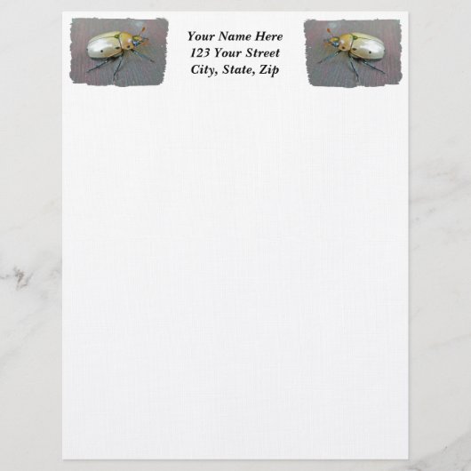Grapevine Beetle (Pelidnota punctata) Letterhead Persoonlijk Briefhoofd (Voorkant)