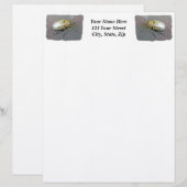 Grapevine Beetle (Pelidnota punctata) Letterhead Persoonlijk Briefhoofd (Voorkant / Achterkant)