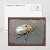 Grapevine Beetle (Pelidnota punctata) reeks Briefkaart (Voorkant / Achterkant)