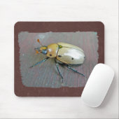 Grapevine Beetle (Pelidnota punctata) reeks Muismat (Met muis)