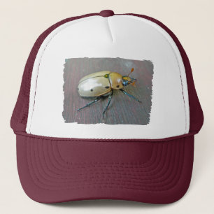 Grapevine Beetle (Pelidnota punctata) reeks Trucker Pet