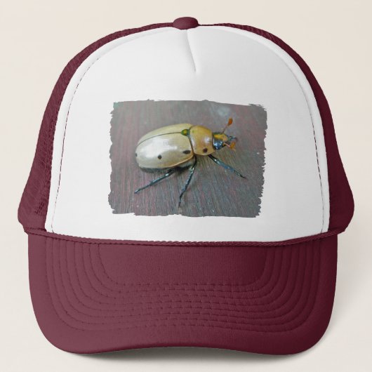 Grapevine Beetle (Pelidnota punctata) reeks Trucker Pet (Voorkant)