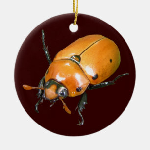 Grapevine Beetle ~ sierent Keramisch Ornament