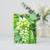 Grapevine Briefkaart (Staand voorkant)