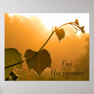 Grapevine & Dewdrops op Sunrise Inspirerend Poster