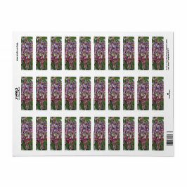 Grapevine Glory - hyperrealistische wijngaard voor Etiket