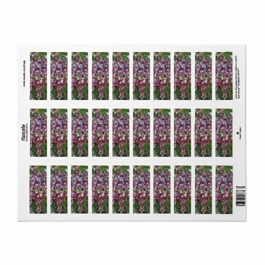 Grapevine Glory - hyperrealistische wijngaard voor Etiket (Full Sheet)