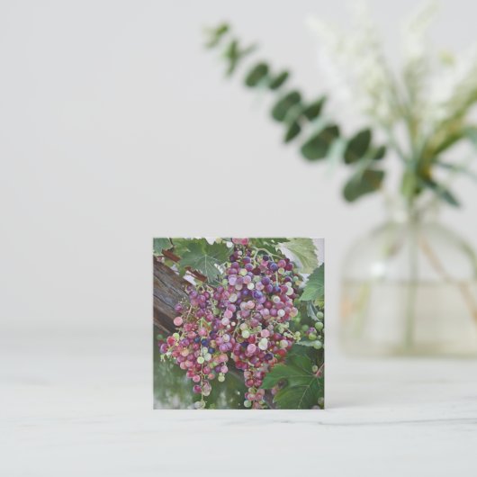 Grapevine Glory - hyperrealistische wijngaard voor Informatiekaartje (Staand voorkant)