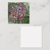 Grapevine Glory - hyperrealistische wijngaard voor Informatiekaartje (Voorkant / Achterkant)