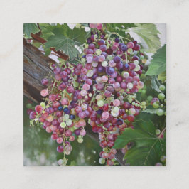 Grapevine Glory - hyperrealistische wijngaard voor Informatiekaartje