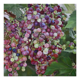 Grapevine Glory - hyperrealistische wijngaard voor Perfect Poster