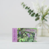 "Grapevine, Grapes, Fence" (Foto.)  Visitekaartje (Staand voorkant)