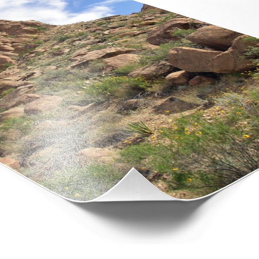 Grapevine Hills rock tower, Texas Foto Afdruk (Hoek)