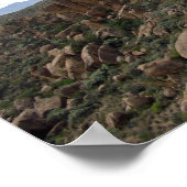 Grapevine Hills Rocks & Chisos Mountains, Texas Poster (Hoek)