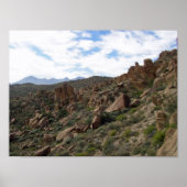 Grapevine Hills Rocks & Chisos Mountains, Texas Poster (Voorkant)