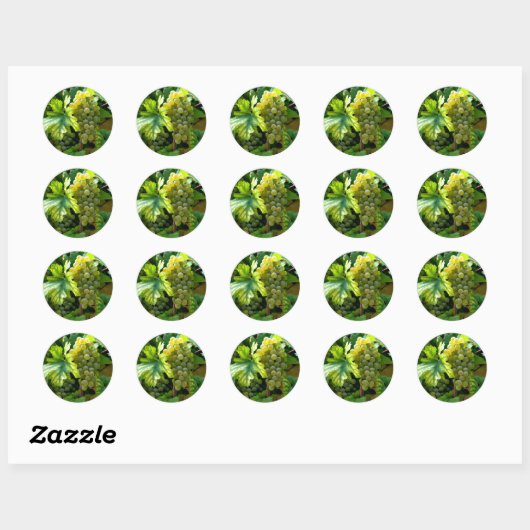 Grapevine Ronde Sticker (Vel)