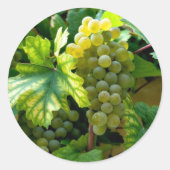 Grapevine Ronde Sticker (Voorkant)