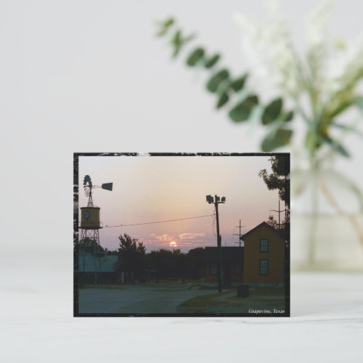 Grapevine Sunrise Briefkaart (Staand voorkant)