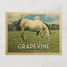 Grapevine Texas Horse Boerderij - Vintage Travel Briefkaart