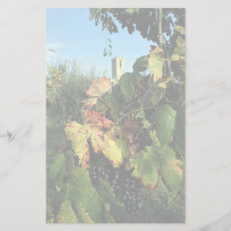 Grapevine, Toscane, Italië Briefpapier