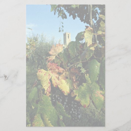 Grapevine, Toscane, Italië Briefpapier (Voorkant)