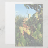 Grapevine, Toscane, Italië Briefpapier (Voorkant / Achterkant)