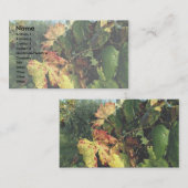 Grapevine, Toscane, Italië Visitekaartje (Voorkant / Achterkant)