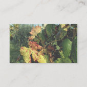 Grapevine, Toscane, Italië Visitekaartje (Achterkant)