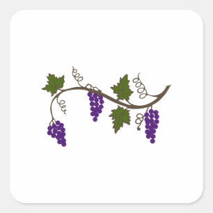 GRAPEVINE VIERKANTE STICKER