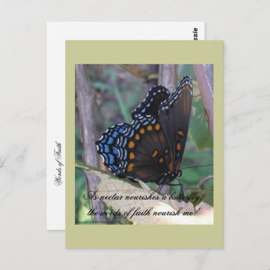 Grapevine Vlinder w / Verse Briefkaart (Voorkant / Achterkant)