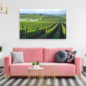 Grapevines in nette rijen in Napa van Californië Canvas Afdruk (Insitu (Woonkamer))