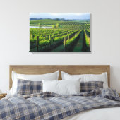 Grapevines in nette rijen in Napa van Californië Canvas Afdruk (Insitu (Slaapkamer))