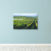 Grapevines in nette rijen in Napa van Californië Canvas Afdruk (Insitu (Houten vloer))