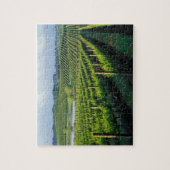 Grapevines in nette rijen in Napa van Californië Legpuzzel (Verticaal)