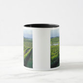 Grapevines in nette rijen in Napa van Californië Mok (Midden)