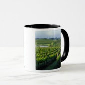 Grapevines in nette rijen in Napa van Californië Mok (Voorkant rechts)