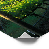 Grapevines in nette rijen in Napa van Californië Poster (Hoek)