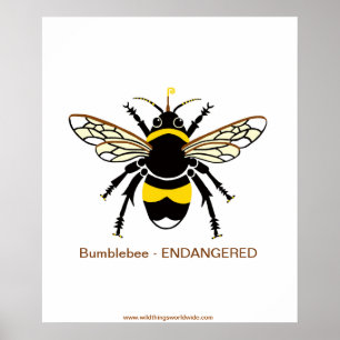 Graphic BUMBLE BEE - Bedreigd - Wildlife - Natuur Poster