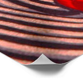 Graphic on Japanese Traditional Kiteart, kite,samu Poster (Hoek)