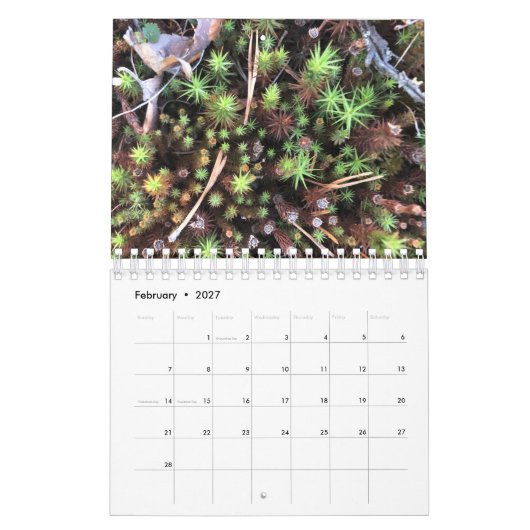 Graphic photo calendar kalender (Feb 2027)